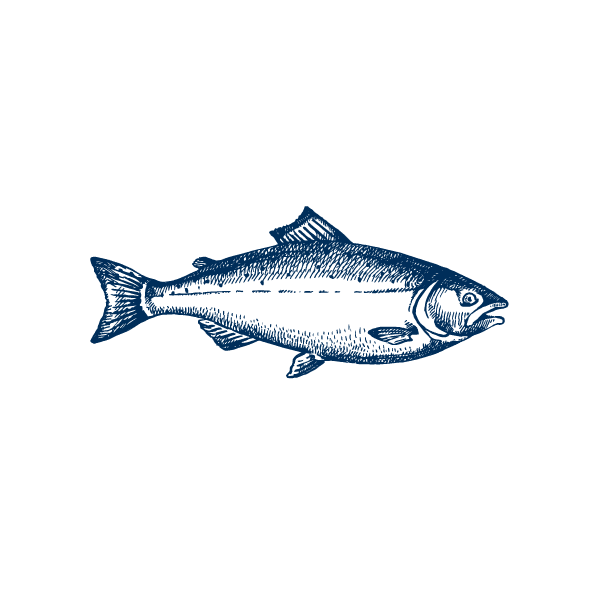 Alma Group fish illustration